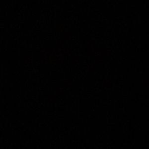 Meet your Posher, Celeste